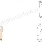 NI_Page_05