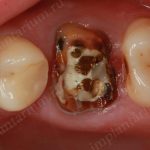 NI_Page_07_Image_0002