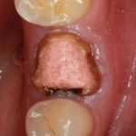 NI_Page_12_Image_0001